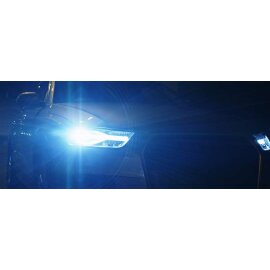 D1S Xenon-Brenner 35W PK32d-2 WhiteVision 5000K 1st. Philips