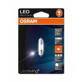Osram LED Family C5W,  12V, Einzelblister - 6498CW-01B
